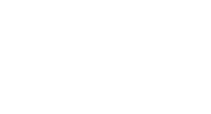 Wagelink